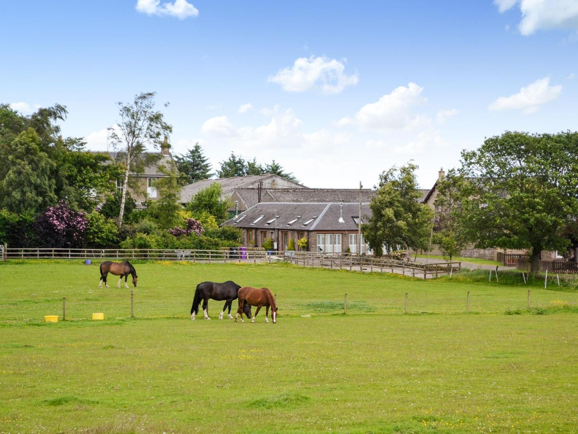 Appletree Cottage Kirkton of Tealing Екстер'єр фото