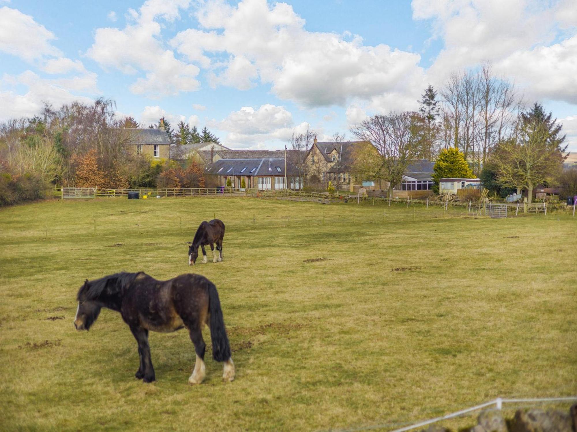 Appletree Cottage Kirkton of Tealing Екстер'єр фото